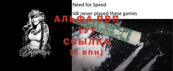 шишки Сосновоборск