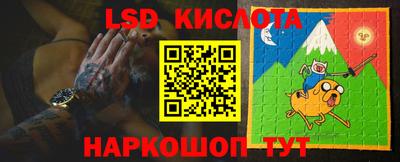 PSILOCYBIN Камышлов