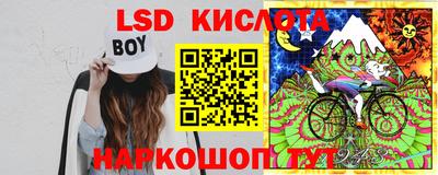 PSILOCYBIN Камышлов