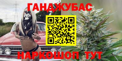 гидра Кандалакша