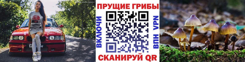 Псилоцибиновые грибы мухоморы  даркнет сайт  Сухой Лог 