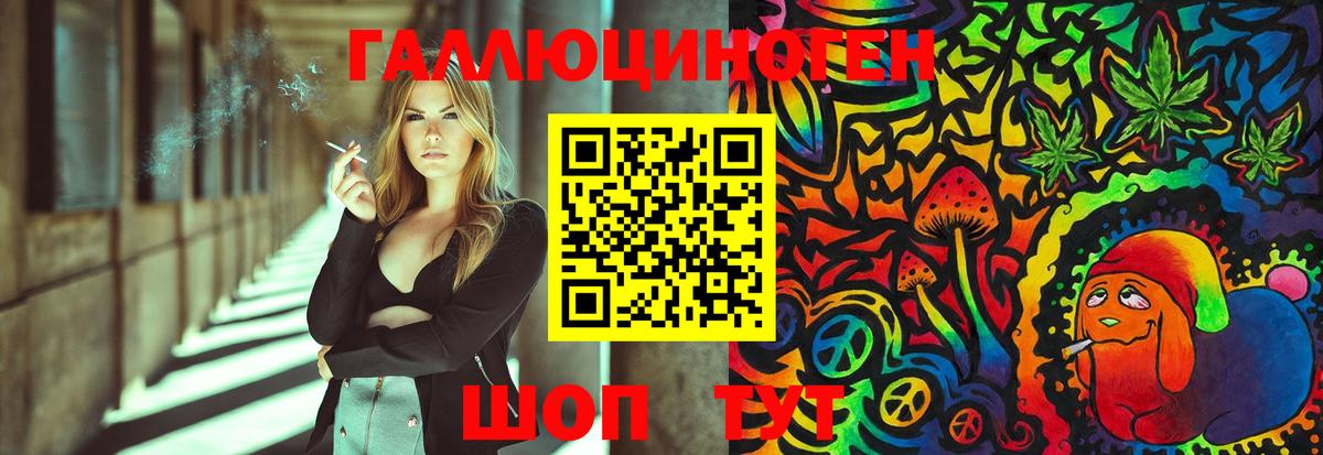 Псилоцибиновые грибы Psilocybe Сухой Лог