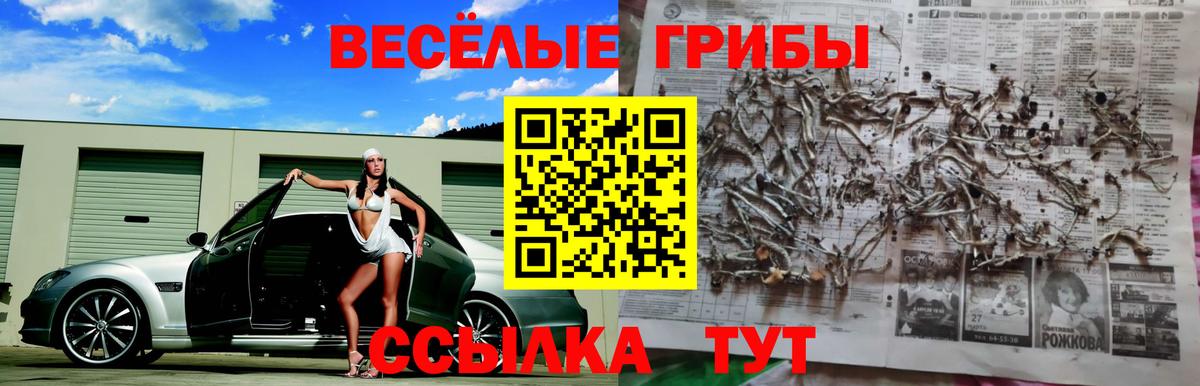 Сухой Лог  Псилоцибиновые грибы MAGIC MUSHROOMS  Вход с VPN 